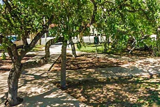 CYPRESS_SCHOOL_old-550pix
