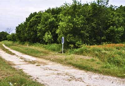 Battle_of_Brushy_Creek_marker_2 Battle_of_Brushy_Creek_marker_2